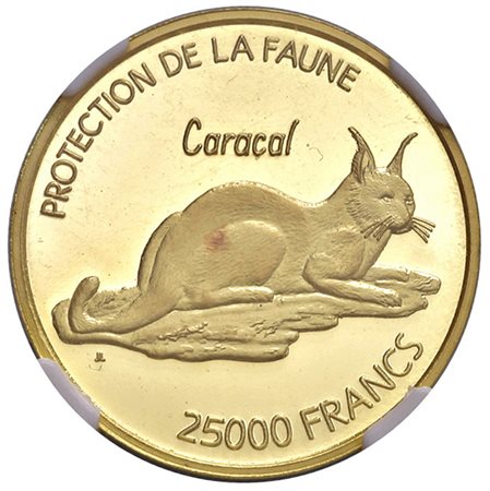  - NIGER 25.000 FRANCS CARACAL 2007 IN SLAB NGC PF 67.