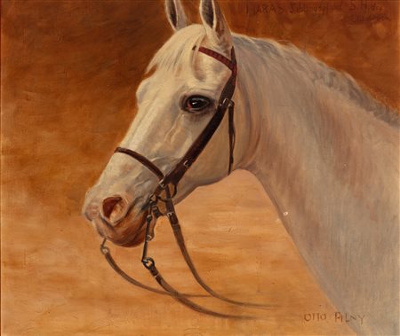 Otto F. Pilny (Svizzera 1866 - 1936)  - Haras, cavallo bianco