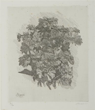 MORANDI GIORGIO (1890 - 1964) - GRUPPO DI ZINNIE.