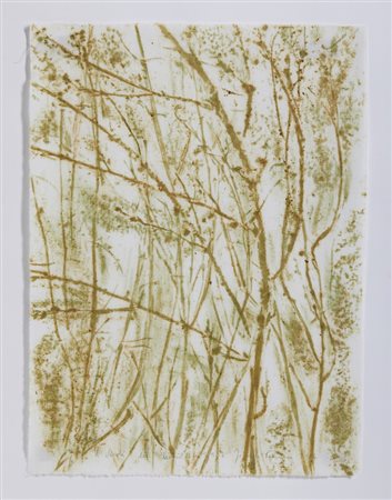 PENONE GIUSEPPE (n. 1947) - IL VERDE DEL BOSCO.