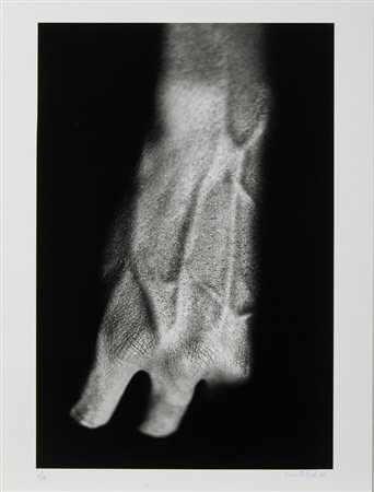 PEDRIALI DINO (1950 - 2021) - SENZA TITOLO.