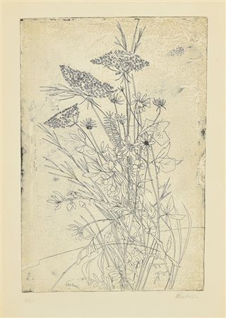 Enrico Paulucci FIORI acquaforte, cm 39,3x26,5, su foglio cm 47,5x33; es....