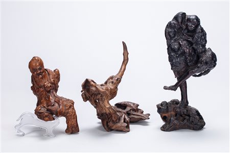 Tre radici "Scholar's Rock". Cina, dinastia Qing (1644-1912)