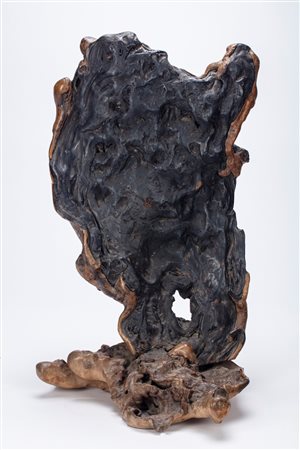 Grande radice "Scholar's Rock". Cina, dinastia Qing (1644-1912)