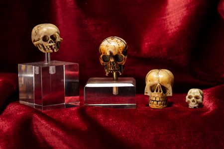 QUATTRO MEMENTO MORI RAFFIGURANTI TESCHI IN AVORIO INTAGLIATO E TRAFORATO. NORD EUROPA, INIZIO SECOLO XX. DUE CON BASE IN PLEXIGLASS