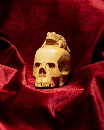 Memento mori in avorio intagliato e traforato raffigurante teschio sormontato da rana. Nord Europa, secolo XIX