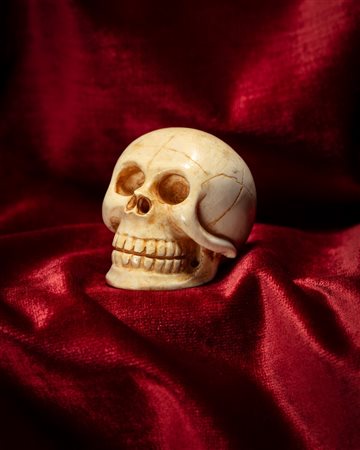 Memento mori raffigurante teschio in avorio intagliato e traforato. Nord Europa, inizio secolo XX