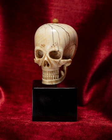 MEMENTO MORI RAFFIGURANTE TESCHIO IN AVORIO INTAGLIATO E TRAFORATO. NORD EUROPA, INIZIO SECOLO XX. CON BASE NERA