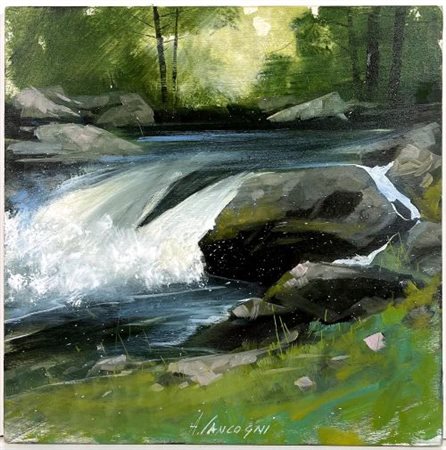 Agostino Cancogni “Il torrente”