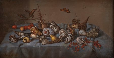 Imitatore di Balthasar Van der Ast - Natura morta con conchiglie