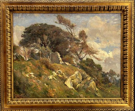 Alfredo Vaccari Torino 1887 - 1933 Paesaggio Montano