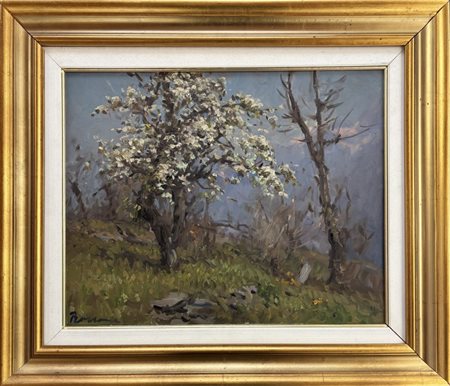 Carlo Bossone Savola 1904 - 1991 Vanzone San Carlo (VB)  Primavera in montagna 