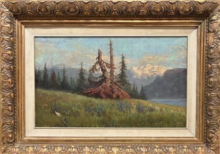 Federico Ashton Milano 1836 - 1904 Passo del Sempione (MI) Alpe di Veglia