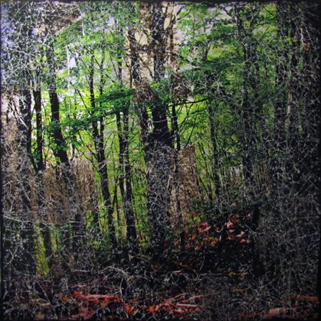 PAOLO PIACENTINI Milano 1979 BOSCO 2014 Tecnica mista su tela 70x70...