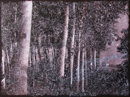 PAOLO PIACENTINI Milano 1979 CAMPAGNA MILANESE 2014 Tecnica mista su tela...