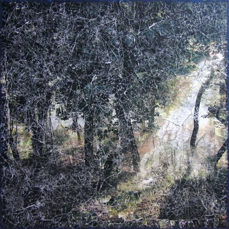 PAOLO PIACENTINI Milano 1979 RUGIADA DI MAGGIO Tecnica mista su tela 60x60...