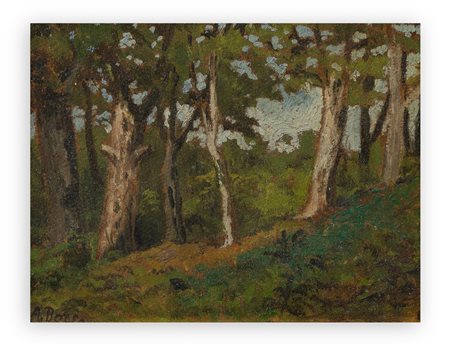 A. BORSA - Senza Titolo (Paesaggio boschivo)