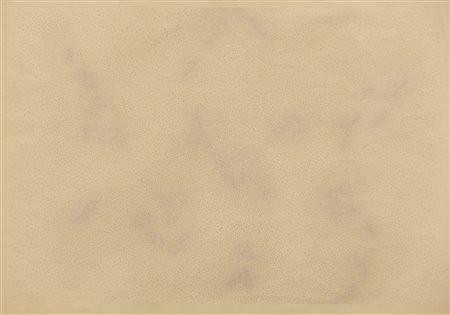 DADAMAINO Costellazioni, 1984