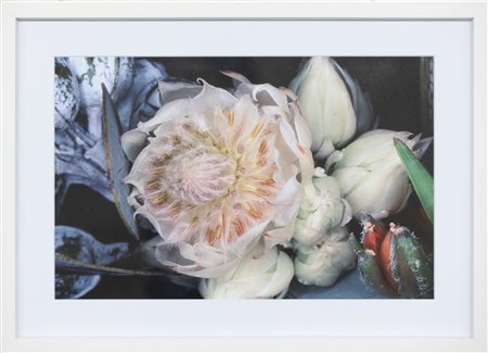 NOBUYOSHI ARAKI Flowers, 2002