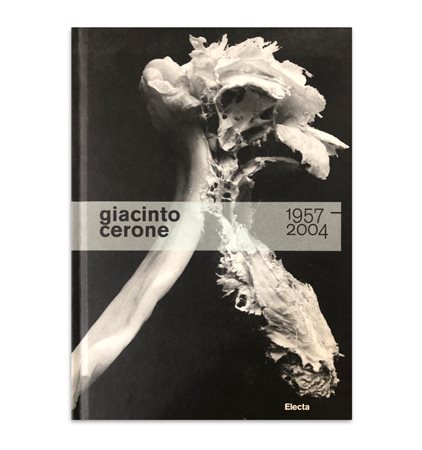 Angelandreina Rorro,“giacinto cerone 1957 - 2004”
