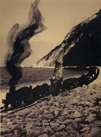 Giacinto Di Pietrantonio, Umberto Palestini,
“Enzo Cucchi. I quaderni dell'arca"