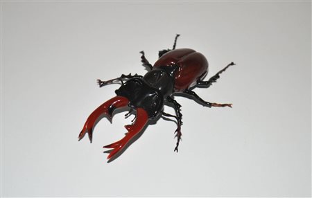 Anonimo Scarabeo cervo;Vetro di Murano, ca. 8 x...