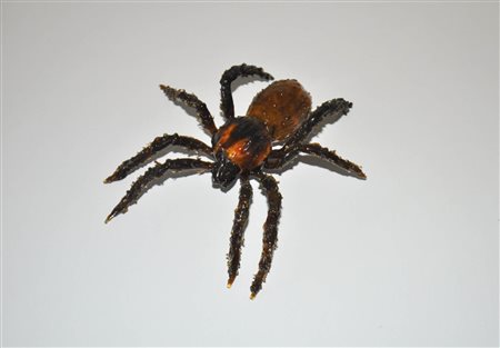 Anonimo Ragno;Vetro di Murano, ca. 9 x 9 x 2,5 cm