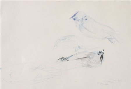 Gotthard Bonell (Truden/Trodena 1953) Studi di un uccello morto, 1975;Matita...