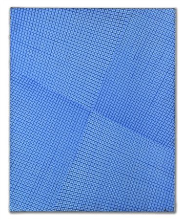 Mario Nigro "Senza titolo (dal ciclo Spazio totale)" anni '70
tempera su tela
cm