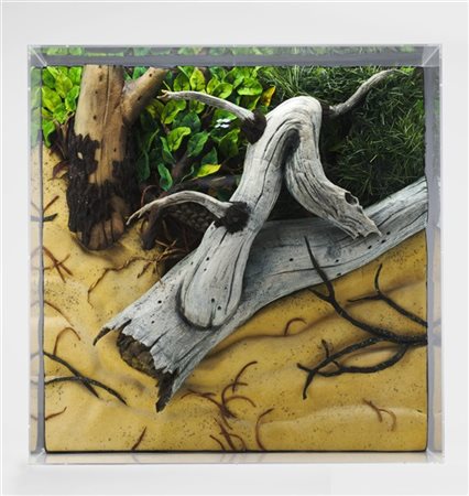 Piero Gilardi "Tronchi sulla duna" 2012
poliuretano espanso e teca in plexiglass