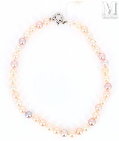 Collier ras-de-cou formé de perles de culture de teintes crème, rosé et rose...