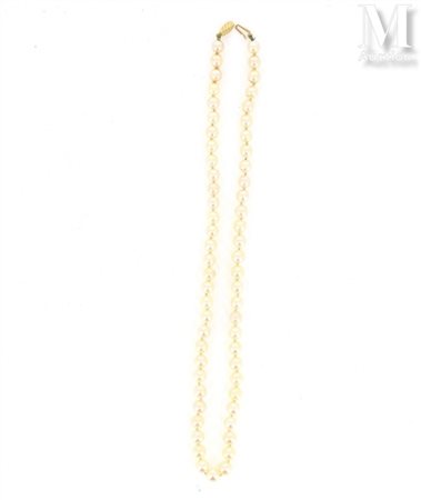 Collier de perles Collier formé de perles de culture disposées en chocker,...