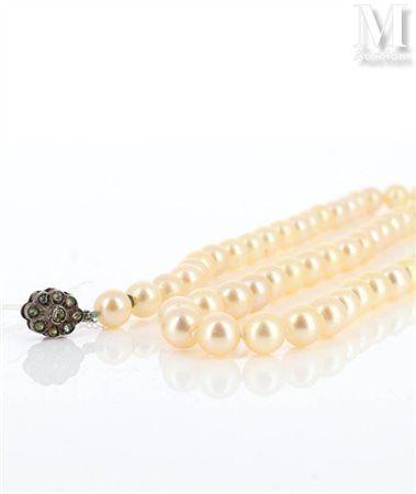 Collier de perles Collier formé de perles de culture disposées en chocker,...