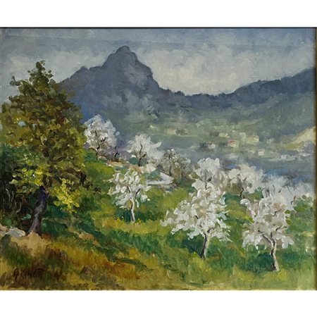 Giovanni Zanetti (1972), Dintorni di Trento, olio su tela, cm 52x62. In...