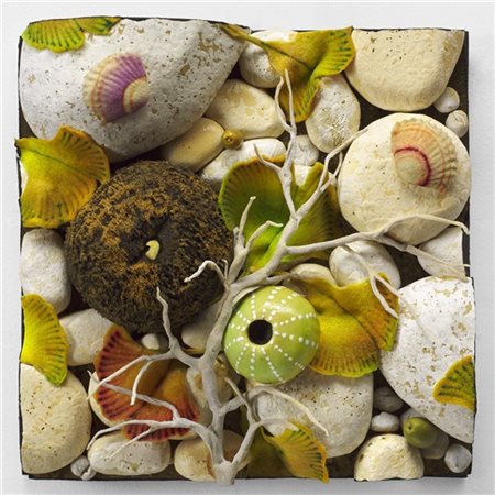 Piero Gilardi "Spiaggetta con noce di cocco" 2002
poliuretano espanso in teca di