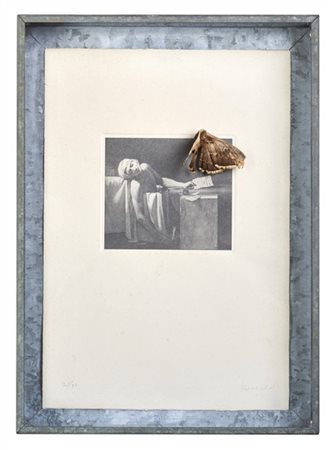 JANNIS KOUNELLIS "Senza titolo" 1975
fotolito su carta, incasso calcografico, fa
