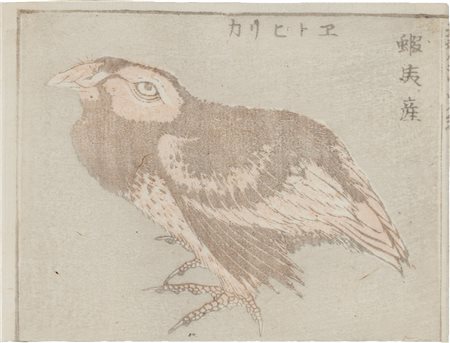 Hokusai Katsushika (Edo, 1760 - Edo, 1849) - Pernice