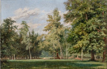 Luigi Calderini (Torino, 1880 - 1973) - Paesaggio boschivo