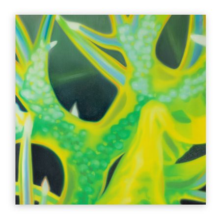 DANY VESCOVI (1969) - Senza Titolo, 2000