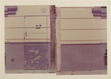 NANNUCCI MASSIMO (n. 1946) - MIMETIZZAZIONE FIRENZE.