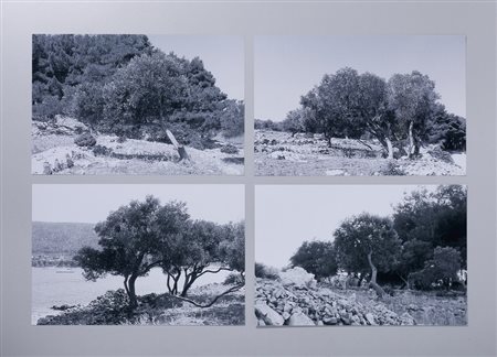 GHARIB ABBAS (n. 1942) - TREES.