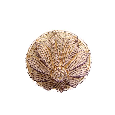 GRANDE PLAFONIERA DI FORMA CIRCOLARE 