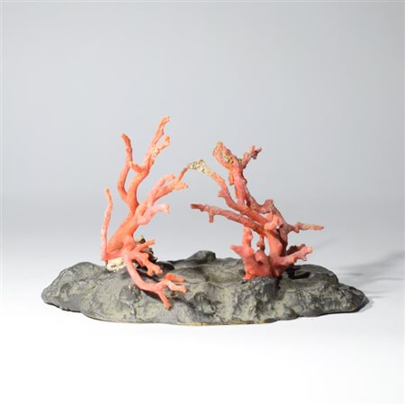 Two coral branches