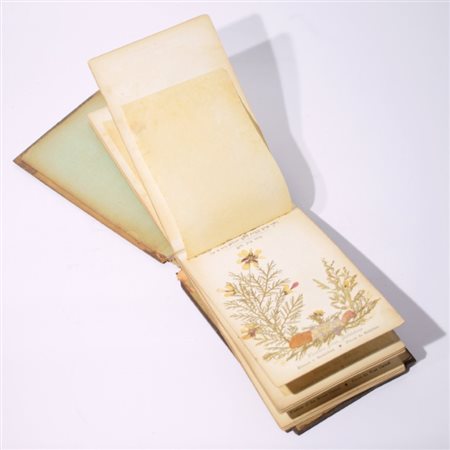 A wooden book with Holy land