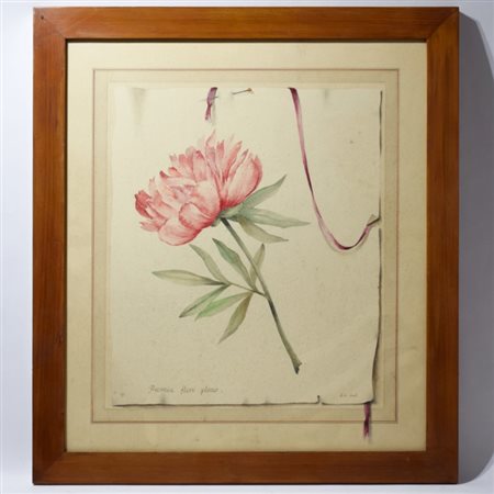 A water-colour flower