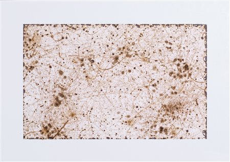 ARCANGELO SASSOLINO
Senza titolo, 2009-10