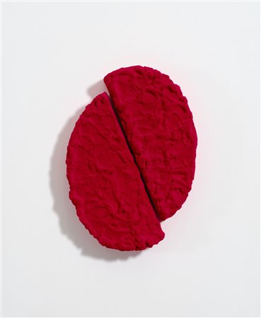 PINO PINELLI
Pittura R , 2007