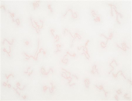 DADAMAINO
Costellazioni, 1983