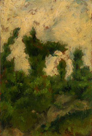 Ludovico Tommasi (Livorno 1866 - Firenze 1941), "Bosco".