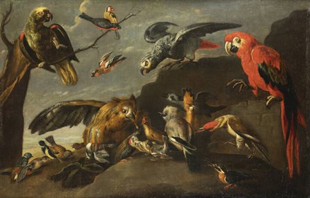 PITTORE ANONIMO DEL XVII SECOLO <BR>"Ritratto di volatili"